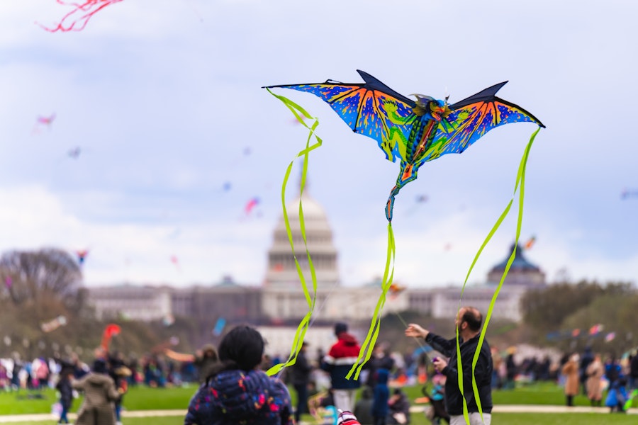 A vibrant kite flies in the foreground with the U.S. Capitol building in the background during the National Cherry Blossom Festival.