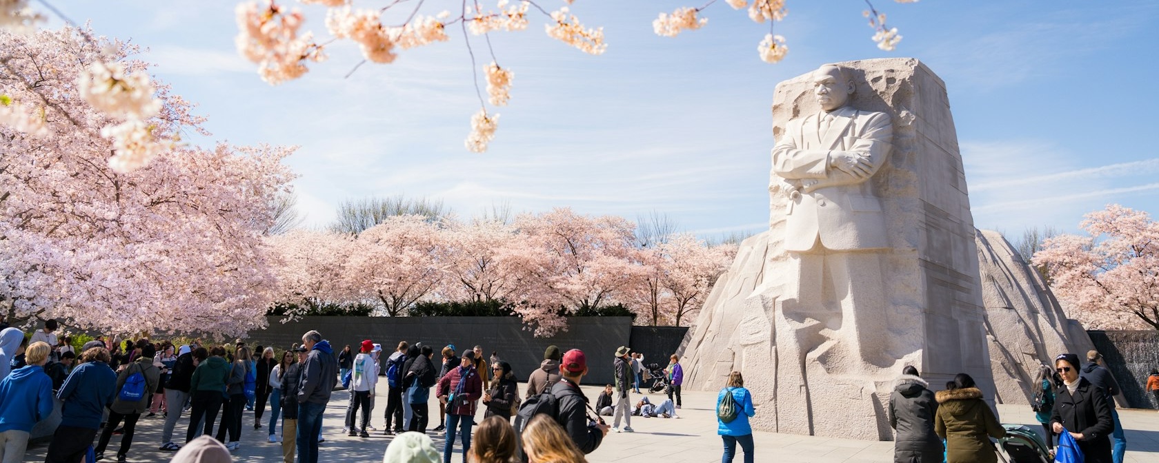 Visitors admire the Martin Luther King Jr. Memorial framed by peak-bloom cherry blossoms on a bright spring day in Washington, DC.