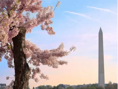 washington dc