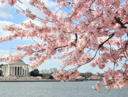 washington dc
