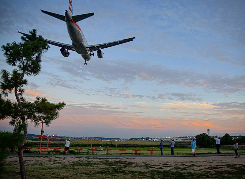 @trbaba - View from Gravelly Point - Plane Landing at Ronald Reagan National Airport