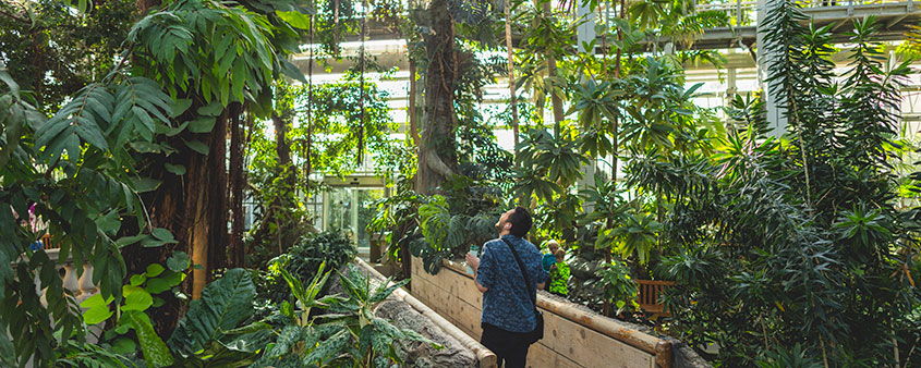 Inside US Botanic Garden