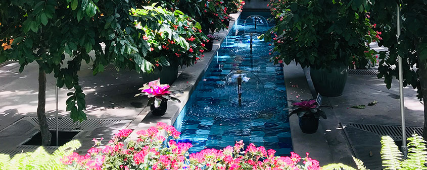 Fountain inside US Botanic Garden