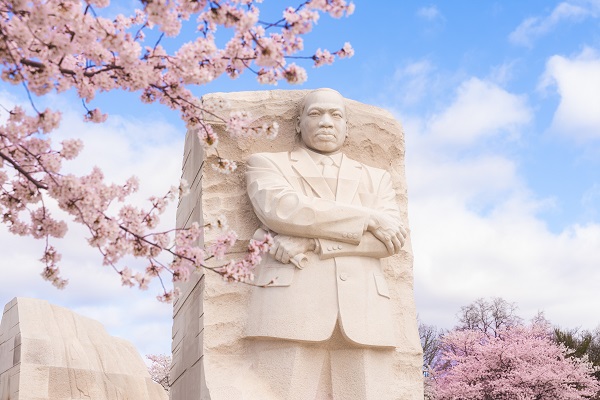 Martin Luther King, Jr. Memorial Cherry Blossoms