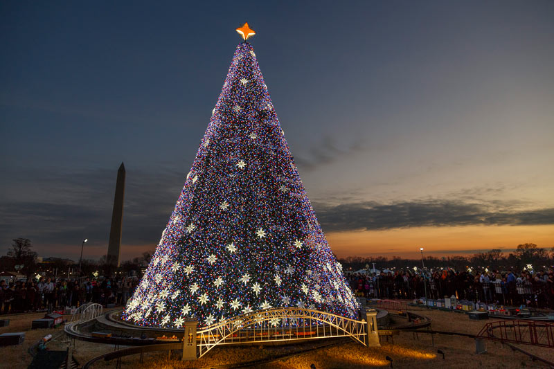 The National Christmas Tree on Christmas Day in Washington, DC - Holiday Light Displays and Winter Events in DC