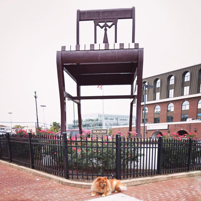 @izzy_the_chow - Dog in front of the Anacostia Big Chair - Off-the-beaten path activity in Washington, DC