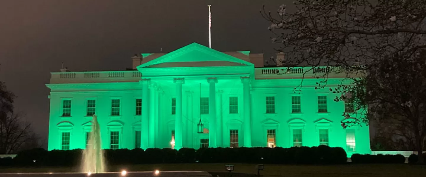 White House (St Patty's Day)