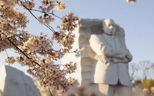 MLK Jr Memorial & Cherry Blossoms at Springtime
