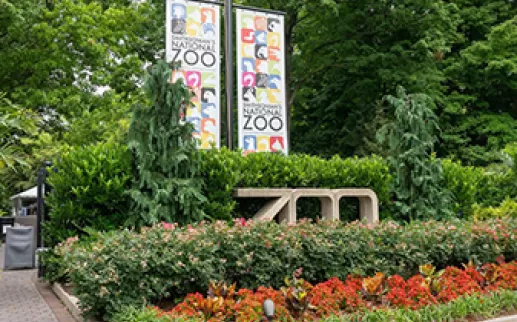 National Zoo
