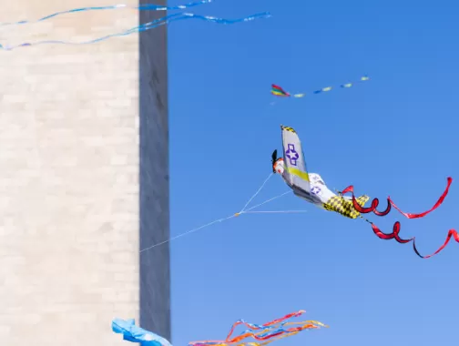 Cherry Blossom Kite Festival