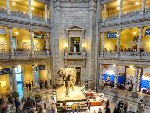 Smithsonian Institution Museums In Washington, DC | Washington DC