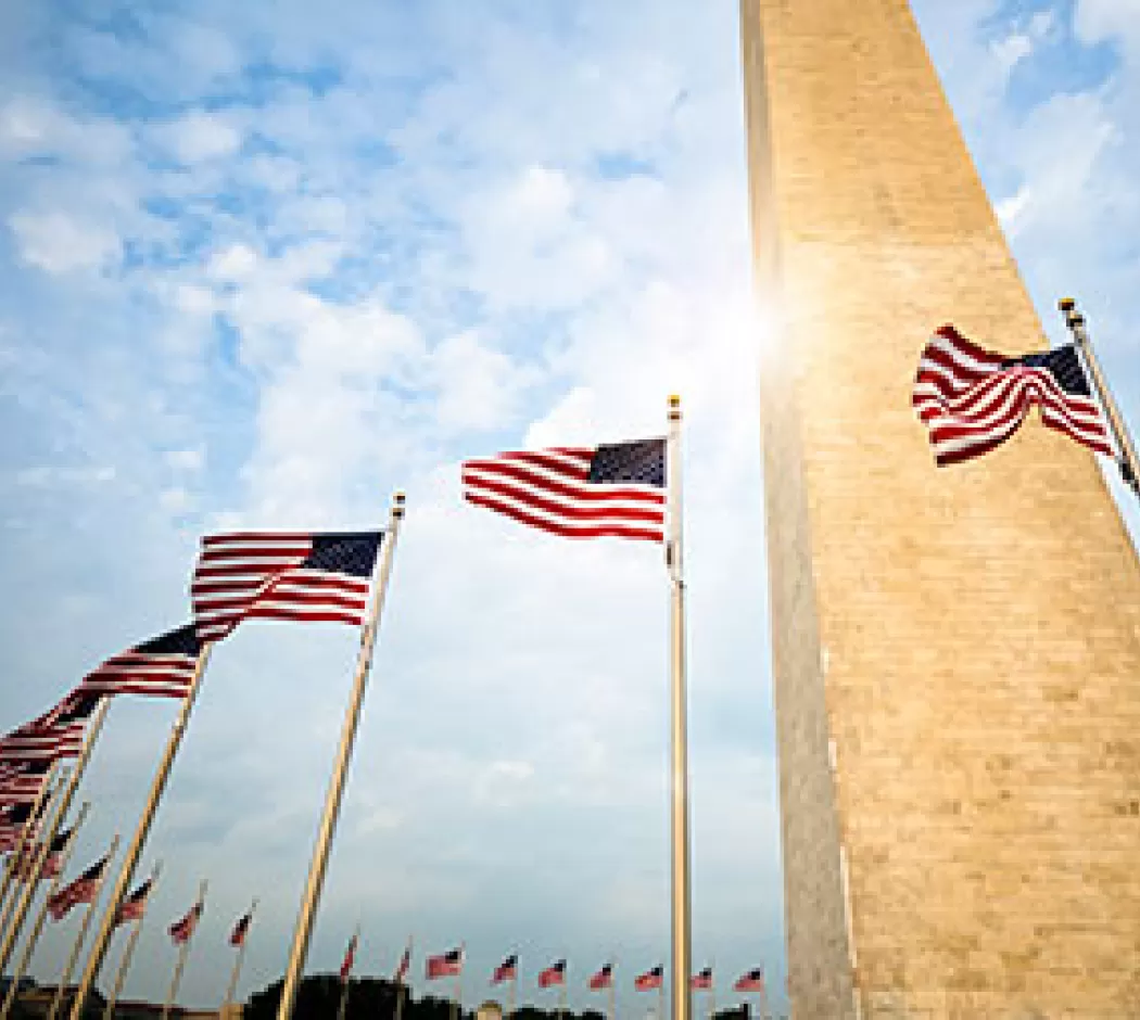 US Flags around Washington Monument